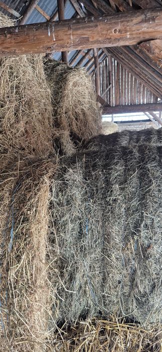 Vând baloti de lucernă coasa 2 și 3