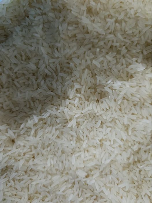 Рис Лазер куриш