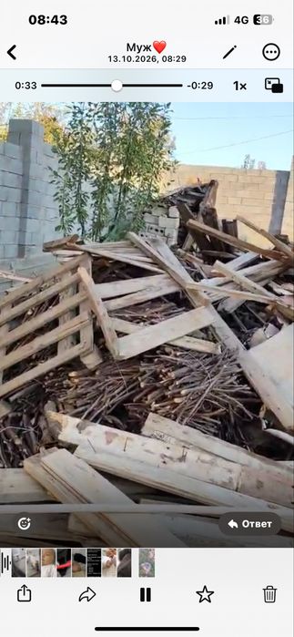 Ағаштар тегін беріледі . Келіп алып кетсеңіздер болды
