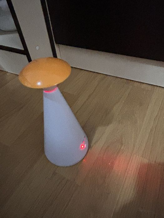 Jucarie laser pisici