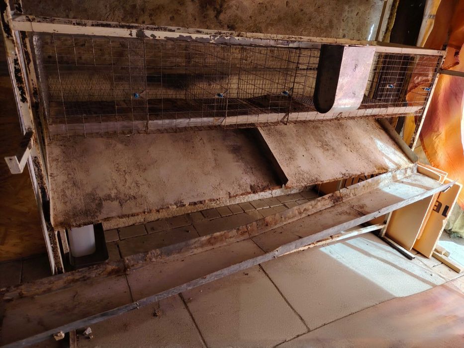 Клетки для кроликов