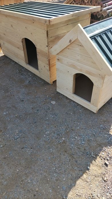 Бутка  дла  сабака