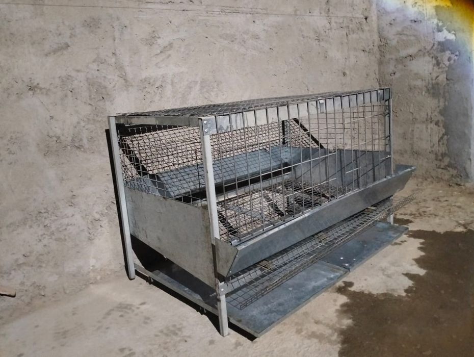 Куринная сетка продается