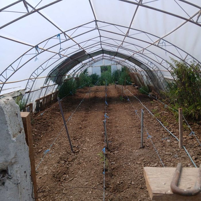 Продава се Парцел в с. Градище, Област Шумен - 1300 кв.м за 16 €/кв.м - Снимка #3