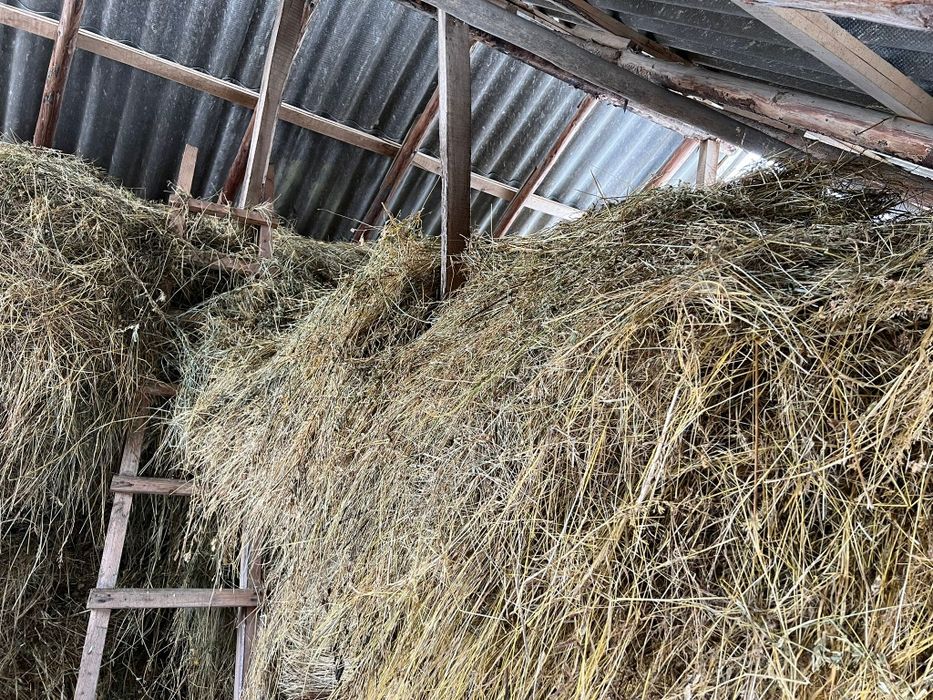 Fân amestecat cu lucernă – peste 4 tone