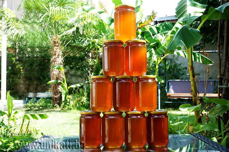 Екологично чист пчелен мед