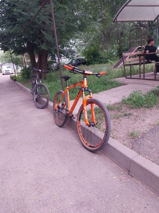 Giant rincon disc 2024
