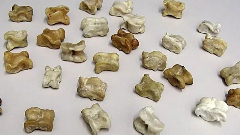 Балаларға арналған асық ойыны