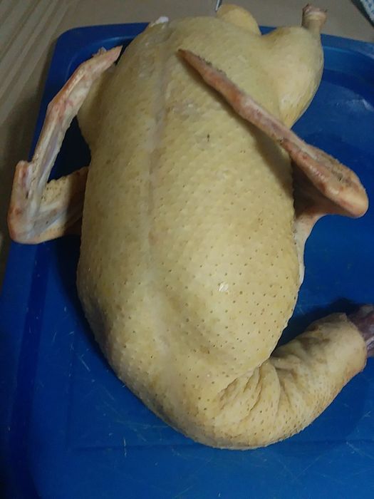 Муларды утки домашние