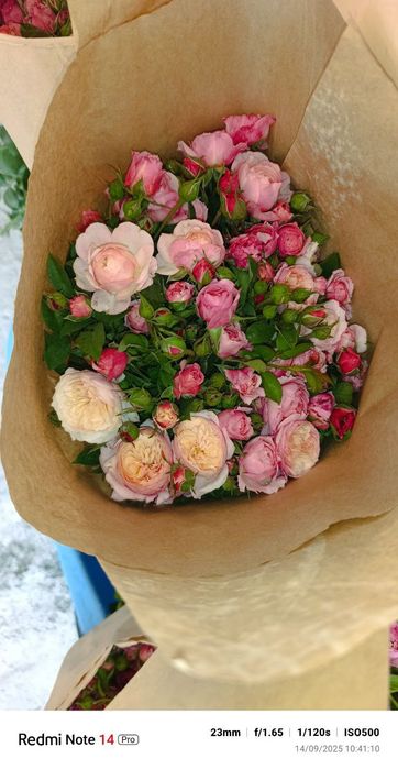 Atirgul sotiladi45 hil so'rti bor