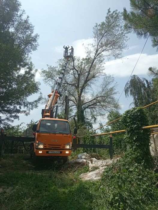 Спилим деревя от 5000тг