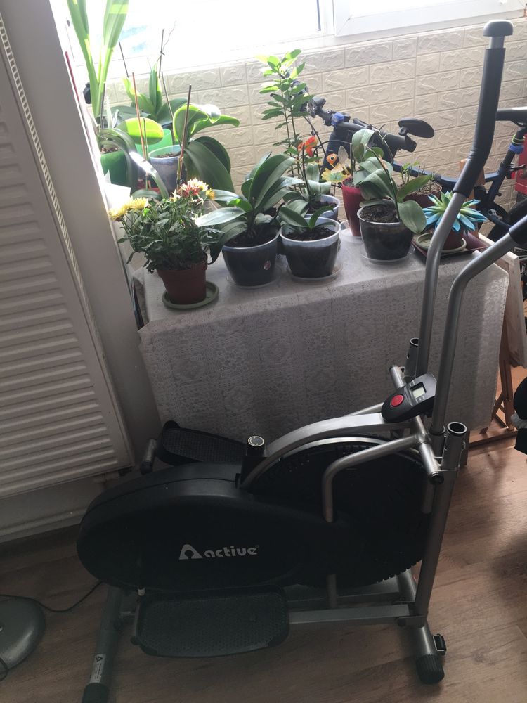 Bicicleta best sale eliptica active