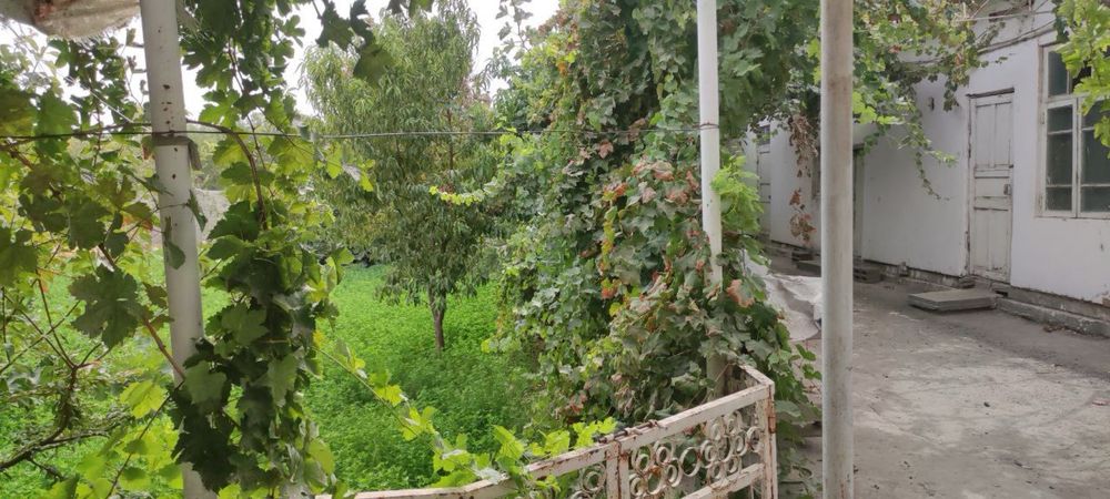 15 сотих ховли сотилади