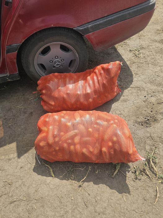 Огурцы помидоры из огороды