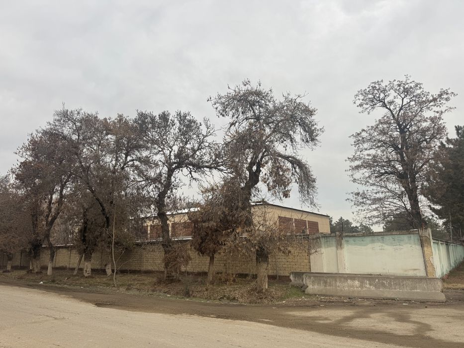 Продается Земля Янги Узбекистон