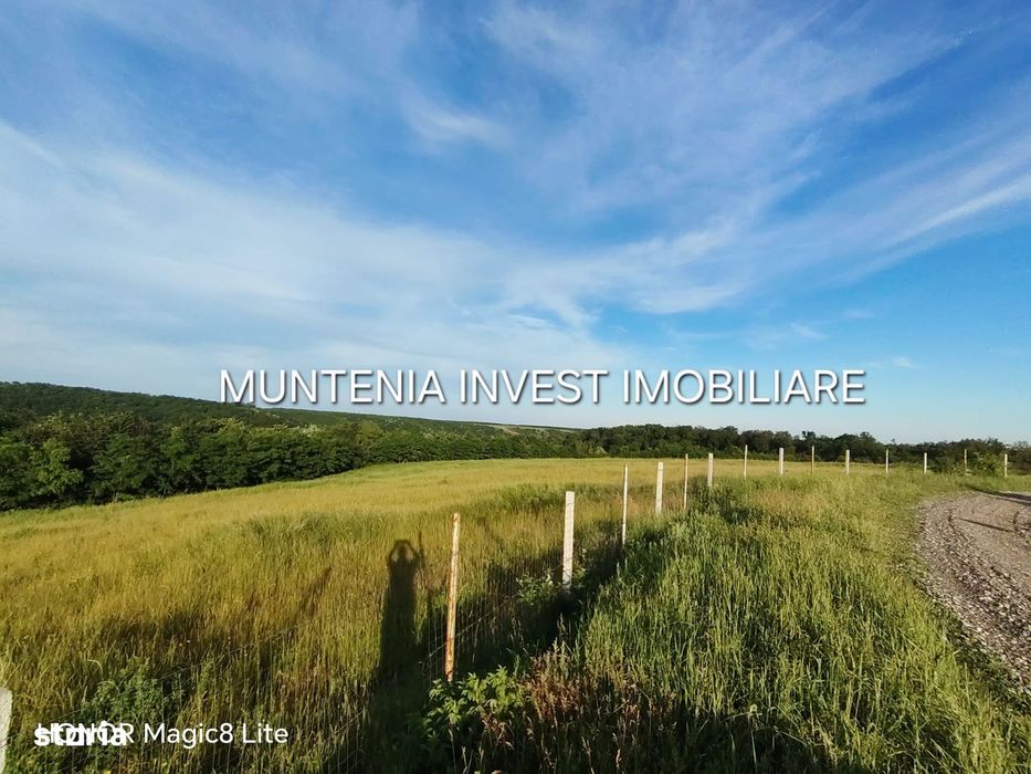De vanzare 40.800 mp. teren, Calinesti