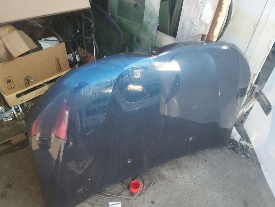 Capota Dacia Duster 2 lovită