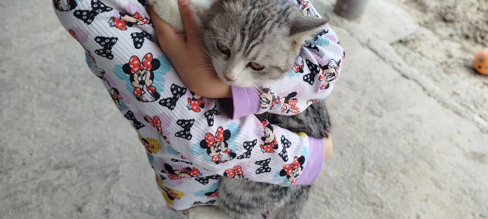 Adolf Laqabli \Lalafo Mushugi