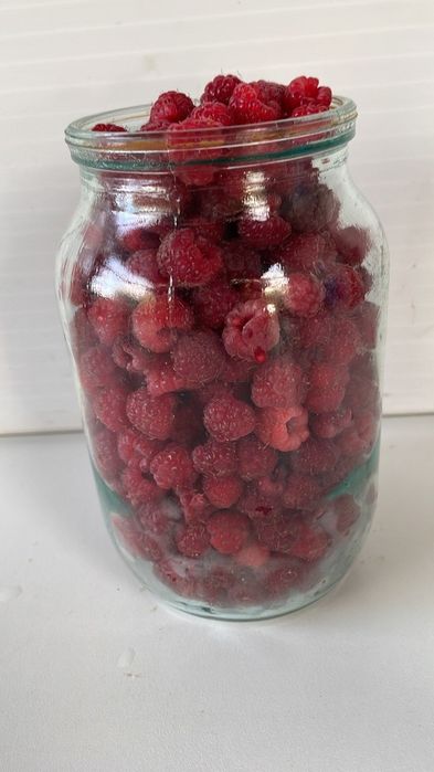 Продам малину дачную
