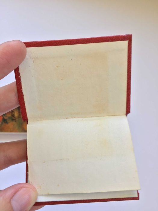 Джуна Поэзия и живопись Книга-миниатюра