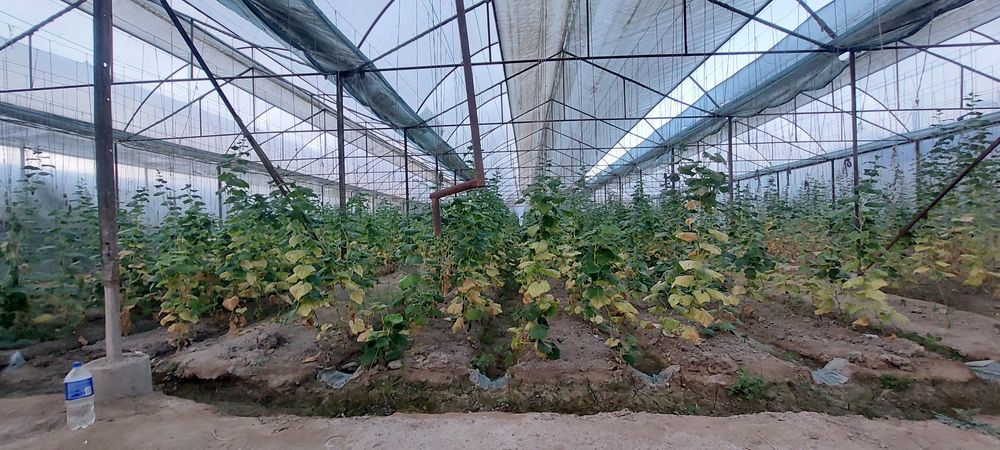 Tayyor bisnes.  Uy joy