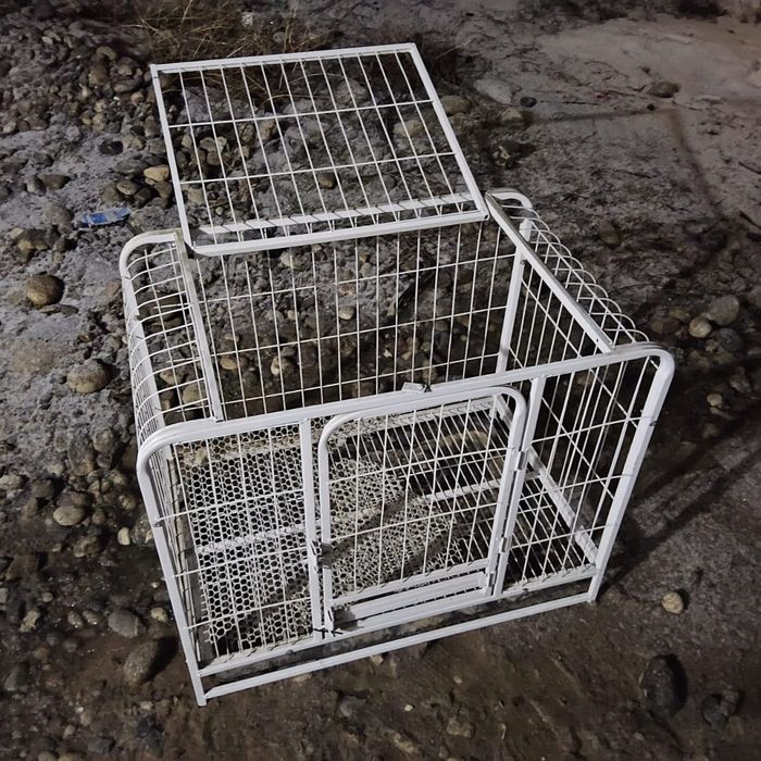 Samsung galaxy tab s9+