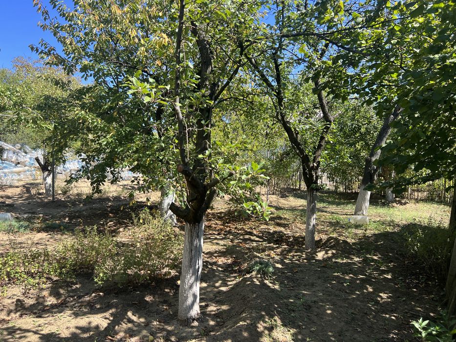 Продава се Парцел в Плевен, Дружба 1 - 550 кв.м за 13 €/кв.м - Снимка #1