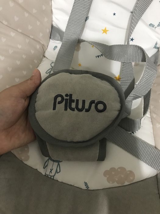 Электрокачелье