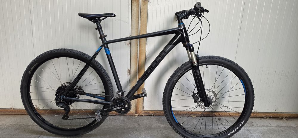 29" bulls compared 3