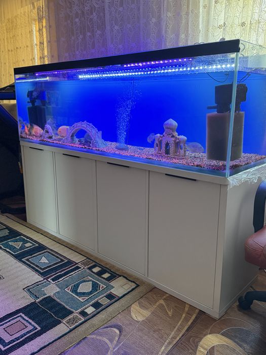 Аквариум на 500 литров