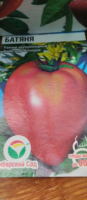 Недорого продам рассаду