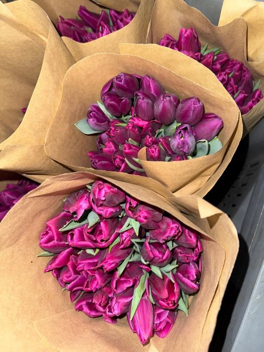 Тюльпаны самые лучшие