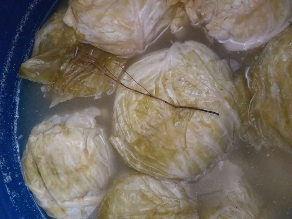 Vând varză murată calitate deosebită