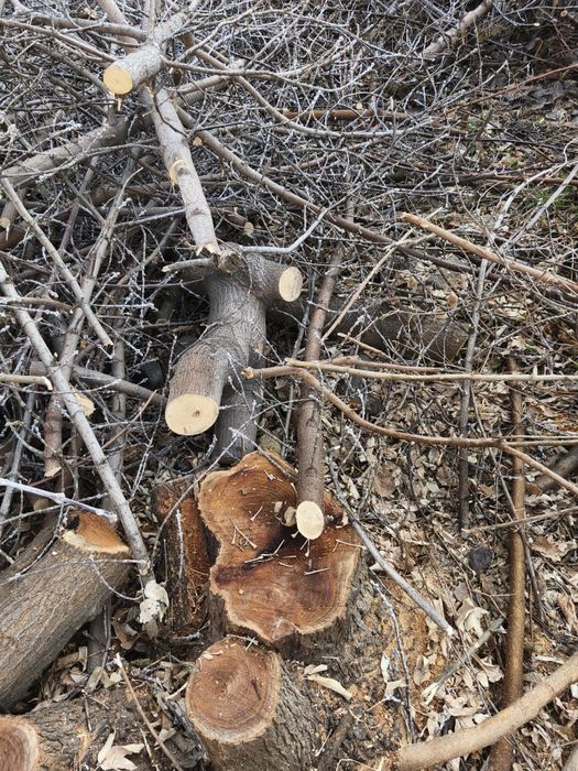 Продам на дрова. 10тенге