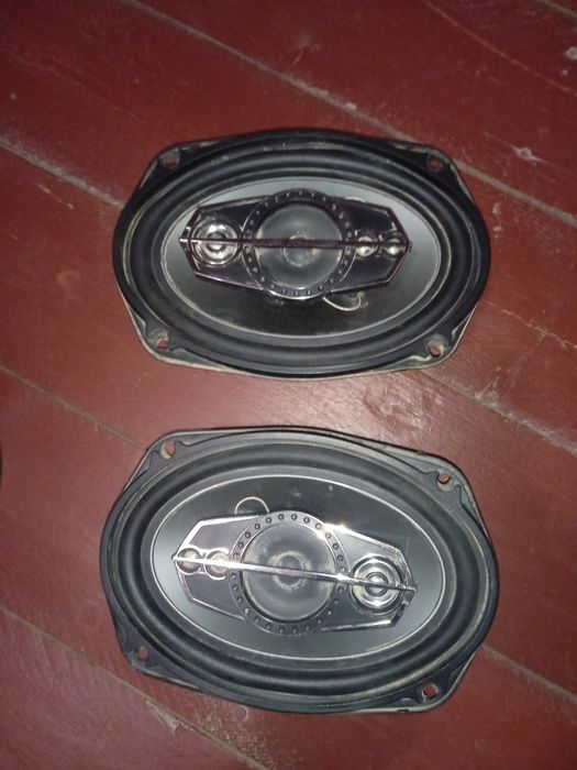 Kalonkala sotiladi arginal