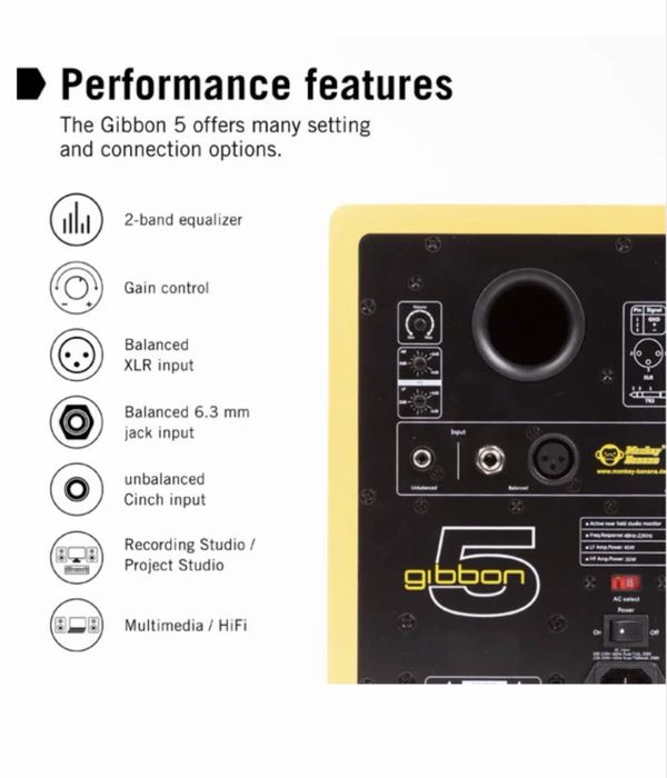 Monitoare de studio Monkey Banana Gibbon 5