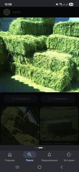 Продам рознатравие и люцерно