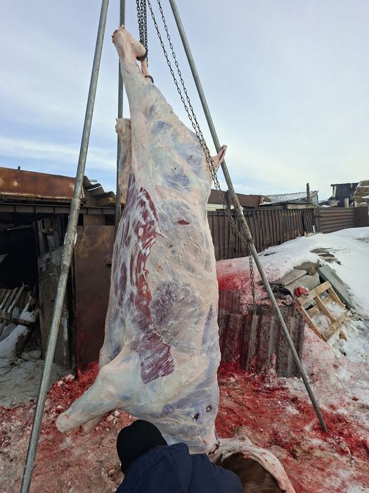 Вынужденный забой.