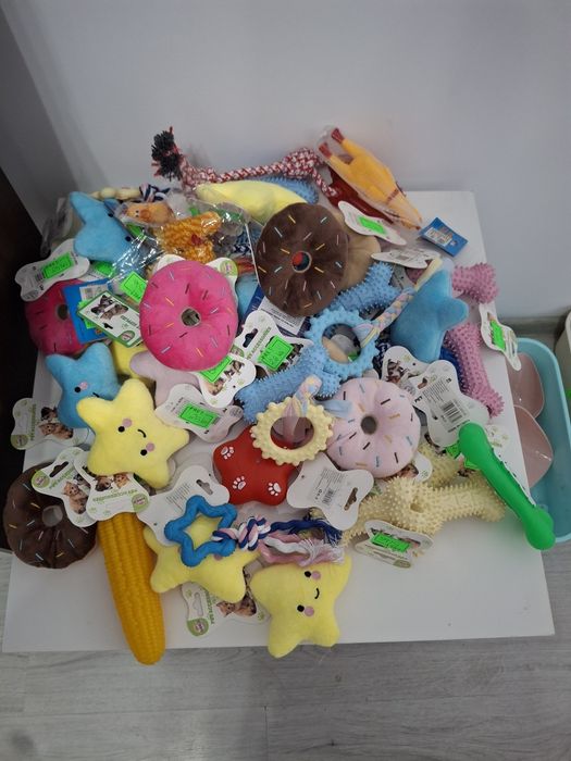 Caini si pisici accesori