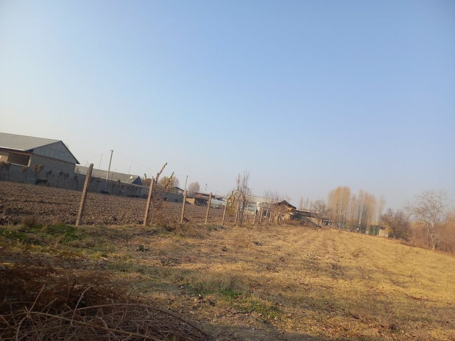 40 сутик ер  Бока