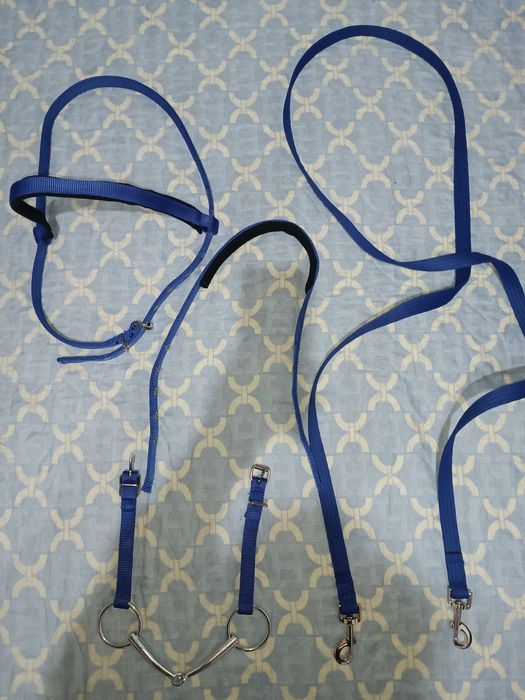 Уздечко для лошади уздечка юган jugan yugan uzdechka nuqta toy ot