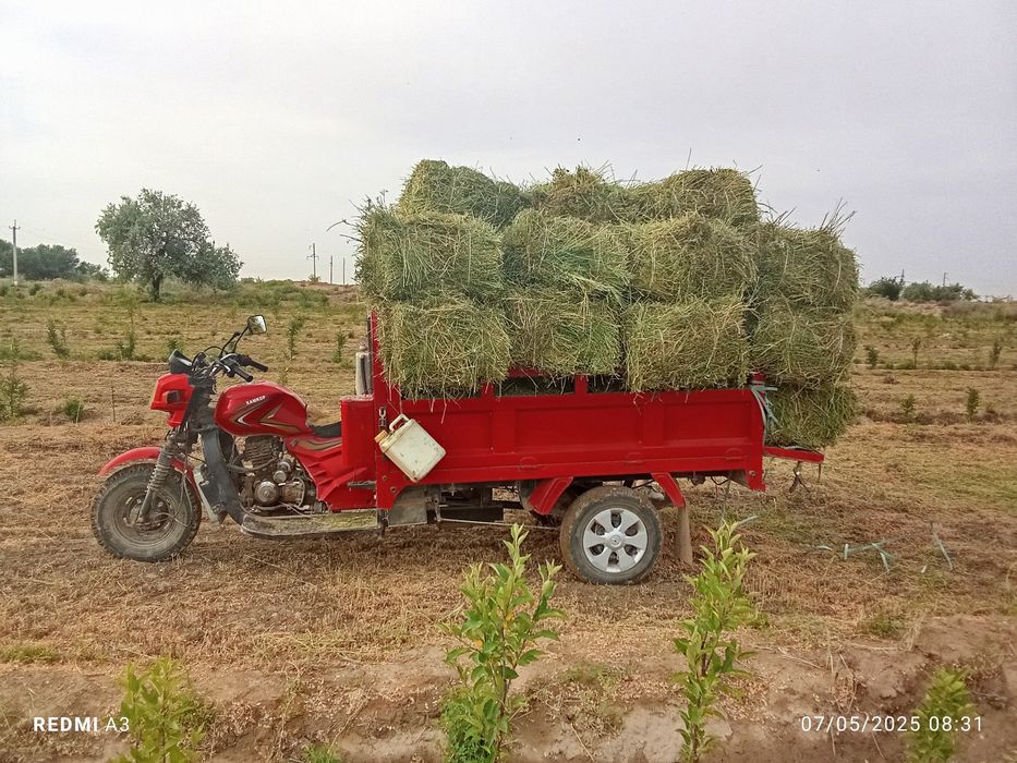 Hamkor motsakil sotiladi narxi 10 mln boʻladigan shu