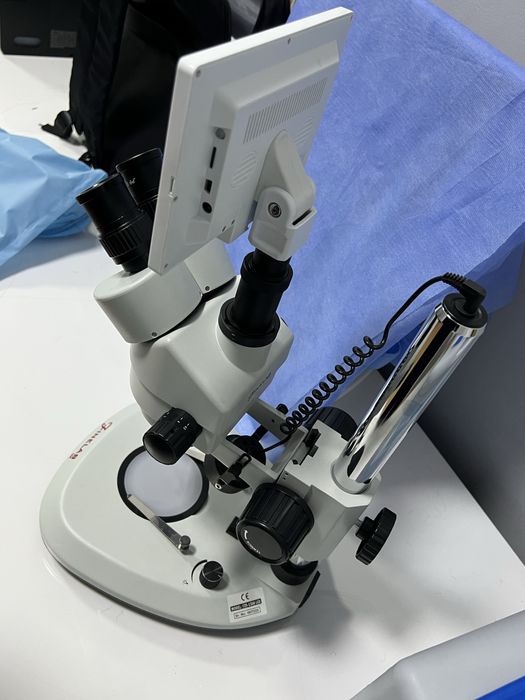 Zoom Stereo Microscope