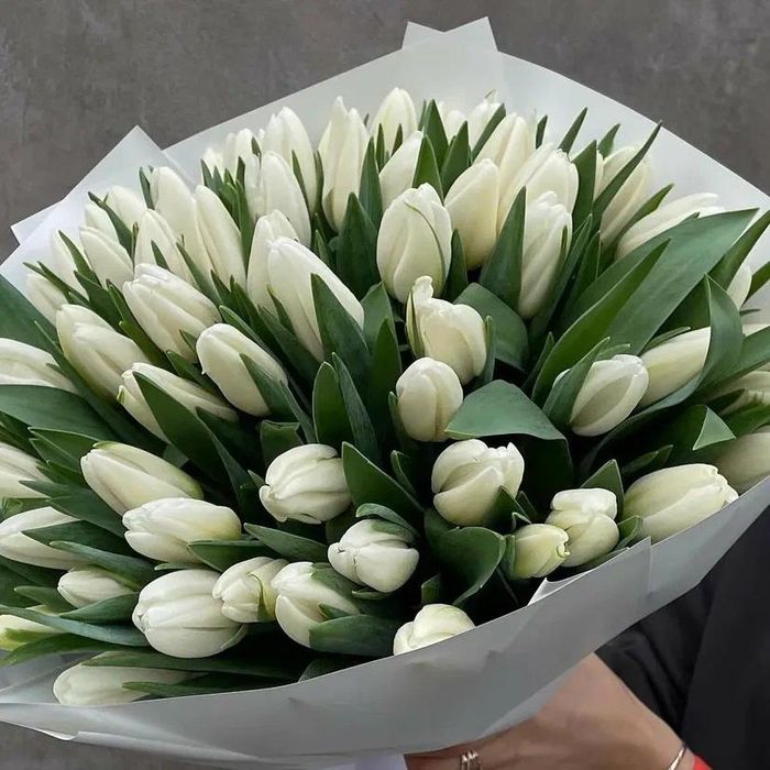 Тюльпан букеты гүлдер