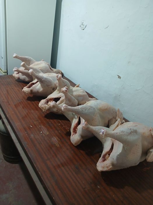 Индюк еті сатылады. Үндік.