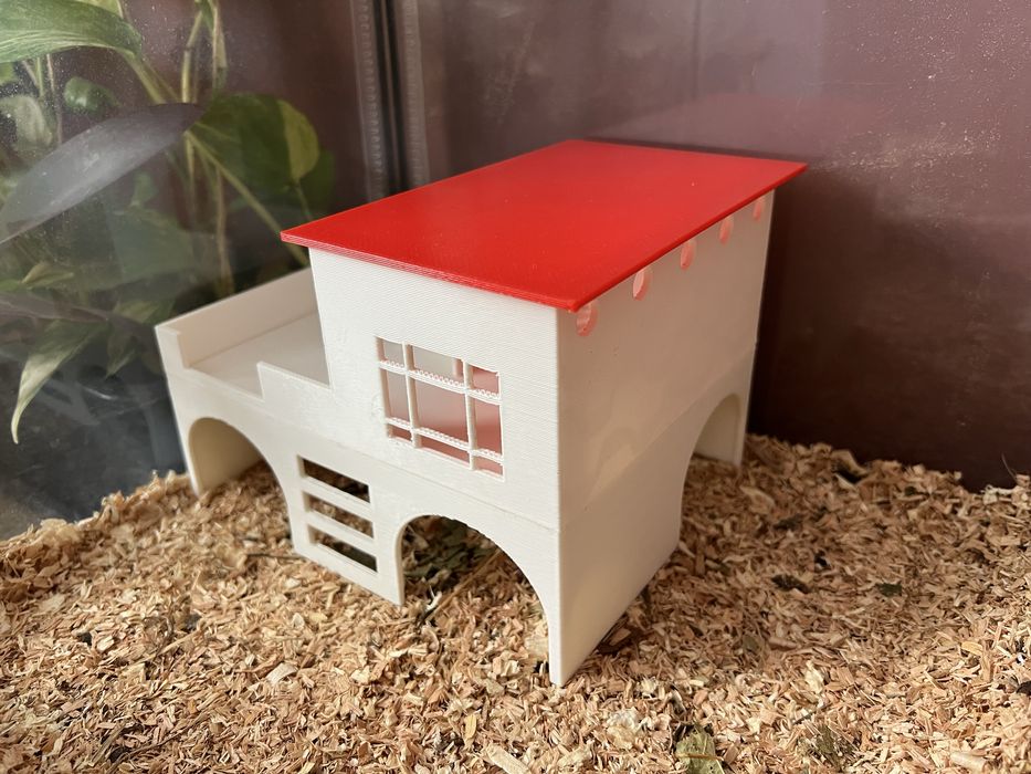 Casă pentru hamster | Hamster house