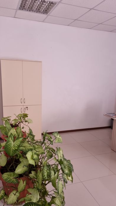 Аренда офисные помещения