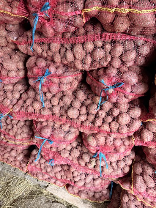 Cartofi pentru animale