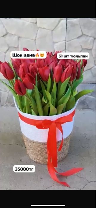 Тюльпаны круглосуточно доставим