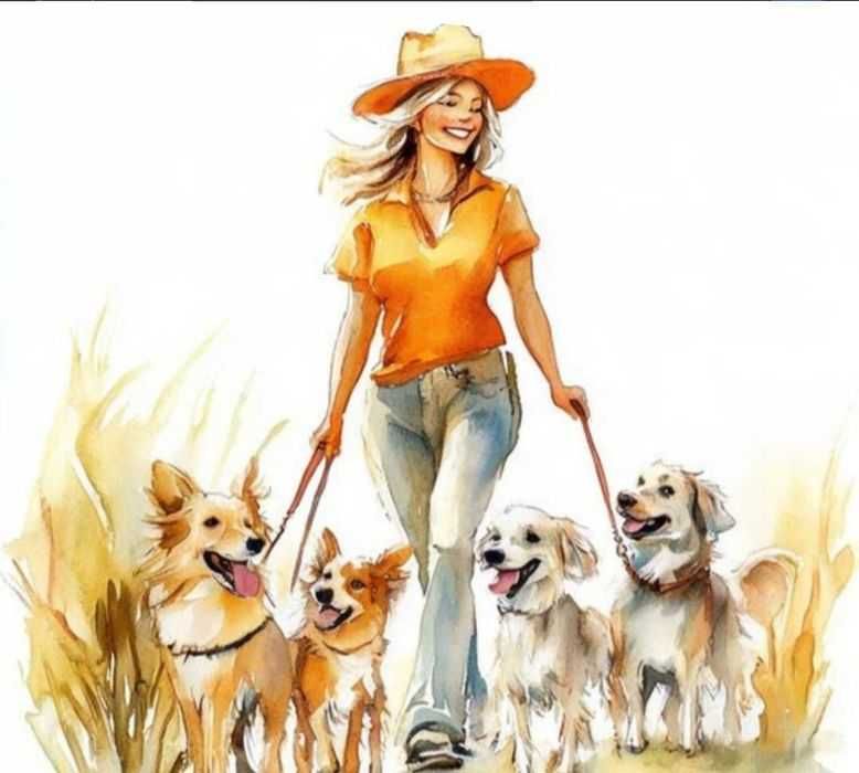 Plimb caini  sector 4